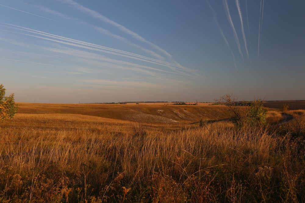 Photograph by Екатерина