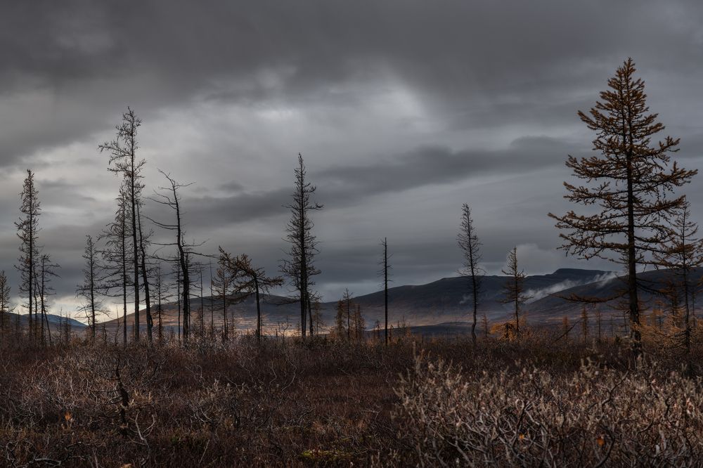 Photograph by Ирина Ульянова