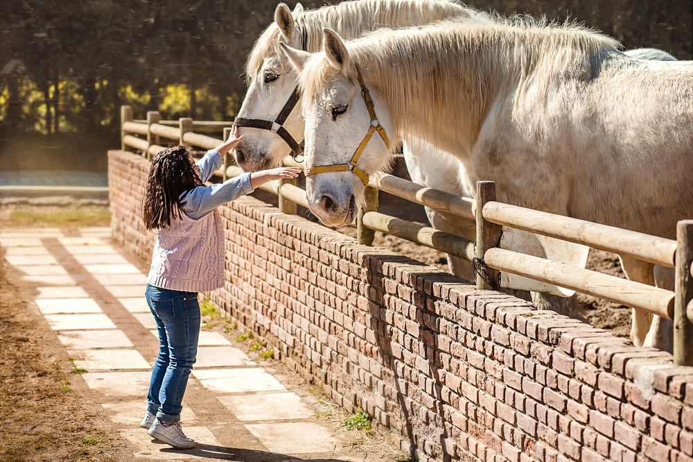 Photograph by Ирина Эрон