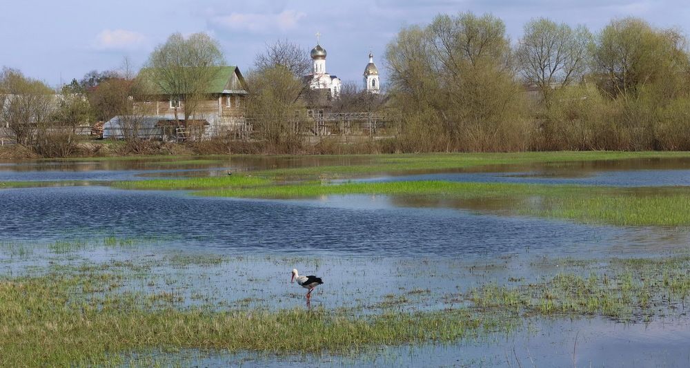 Photograph by Валерий Козуб
