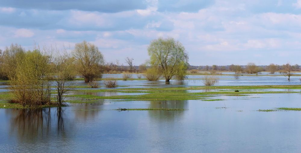 Photograph by Валерий Козуб