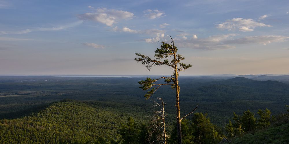 Photograph by Николь Плисовская