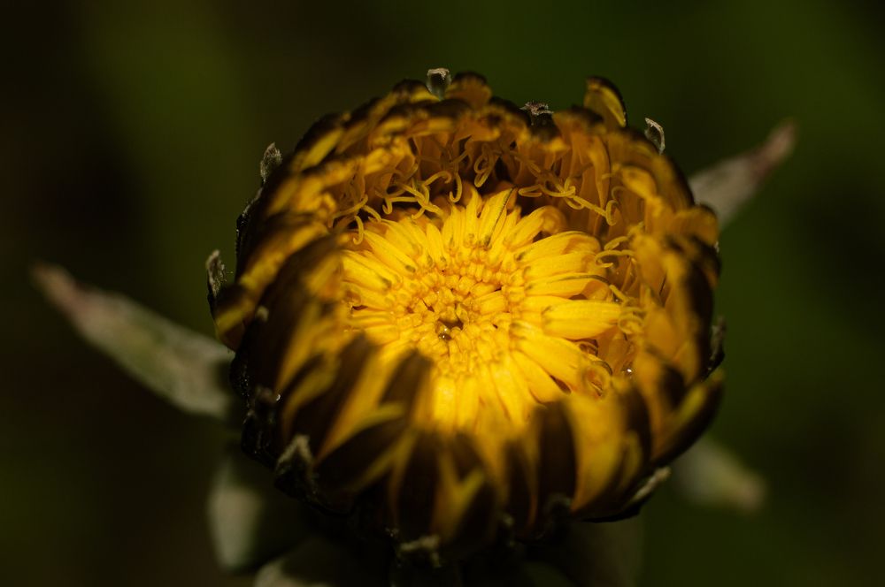 Photograph by Вячеслав Смеликов