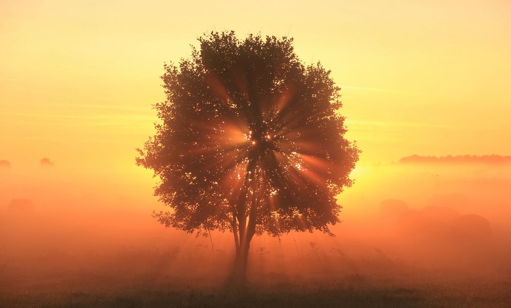 Photograph by Суетинов Евгений