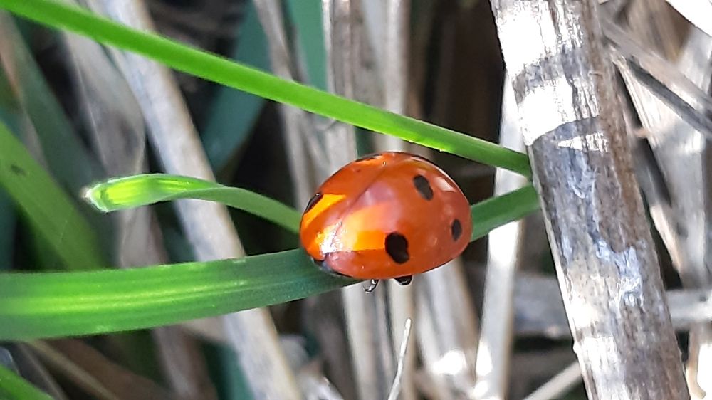 Photograph by Виктория Стецко