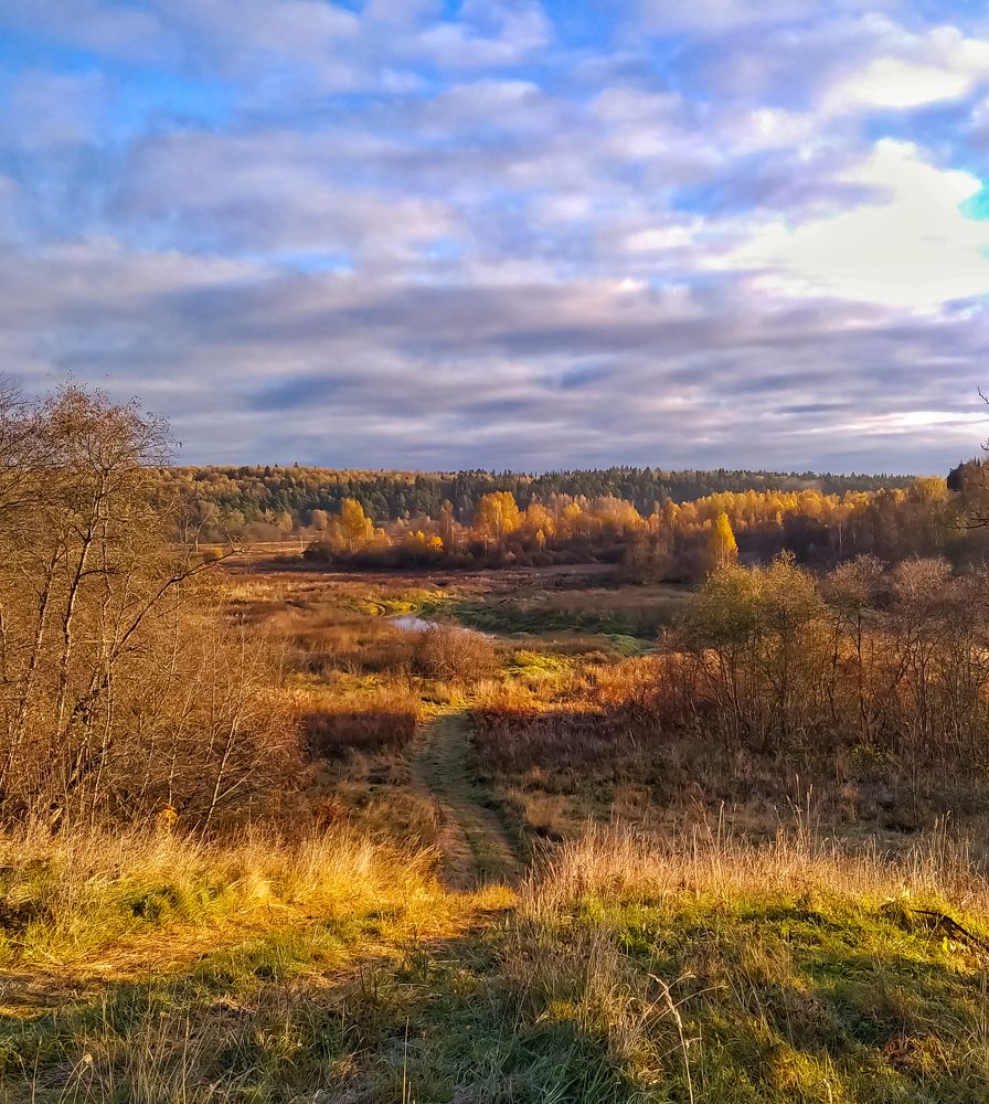 Photograph by Алексей Копылов