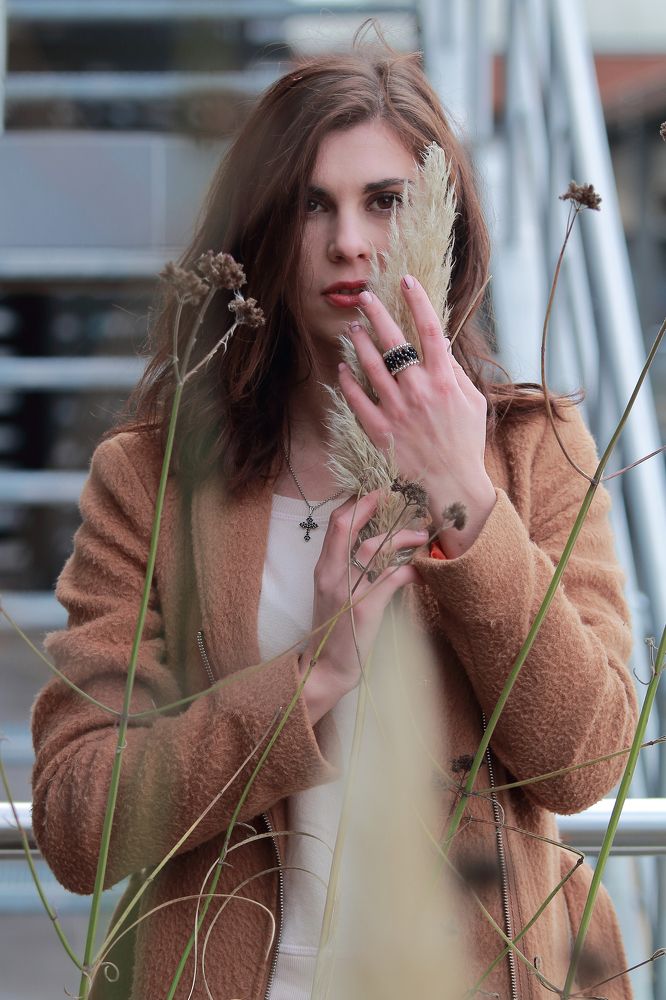 Missis modest luxury.