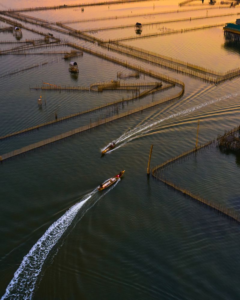 Photograph by Duong Le Thai