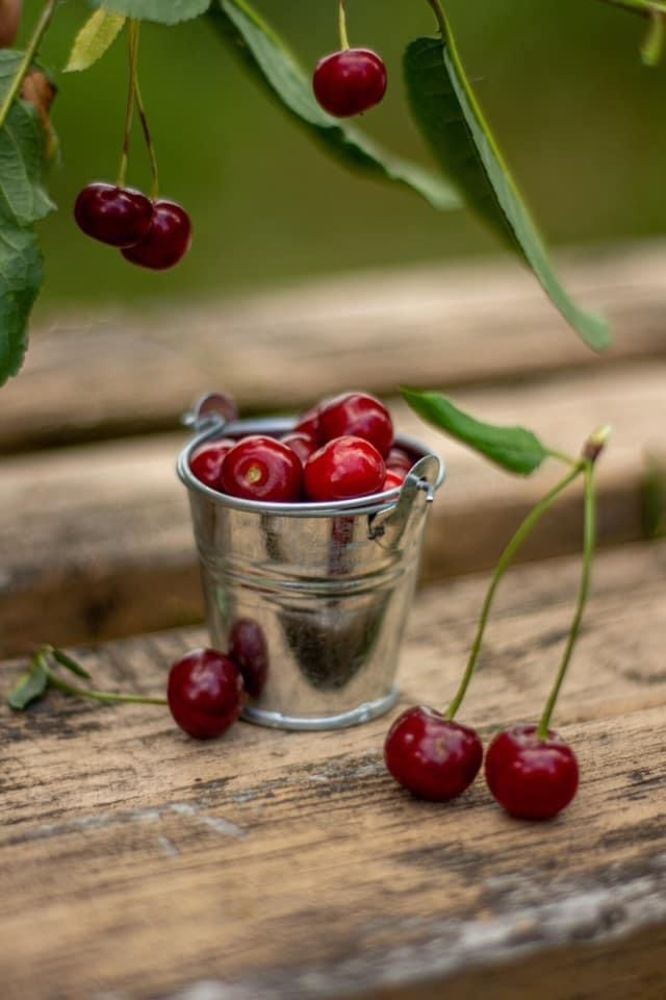 Photograph by Константин Чимбай