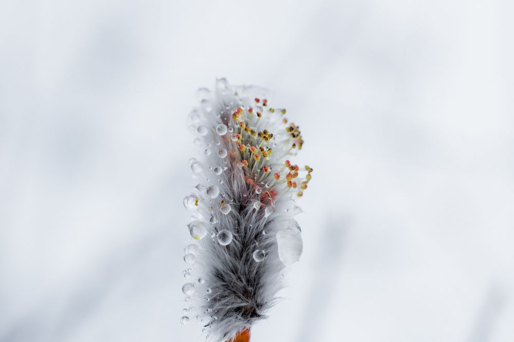 Photograph by Сигида Дмитрий