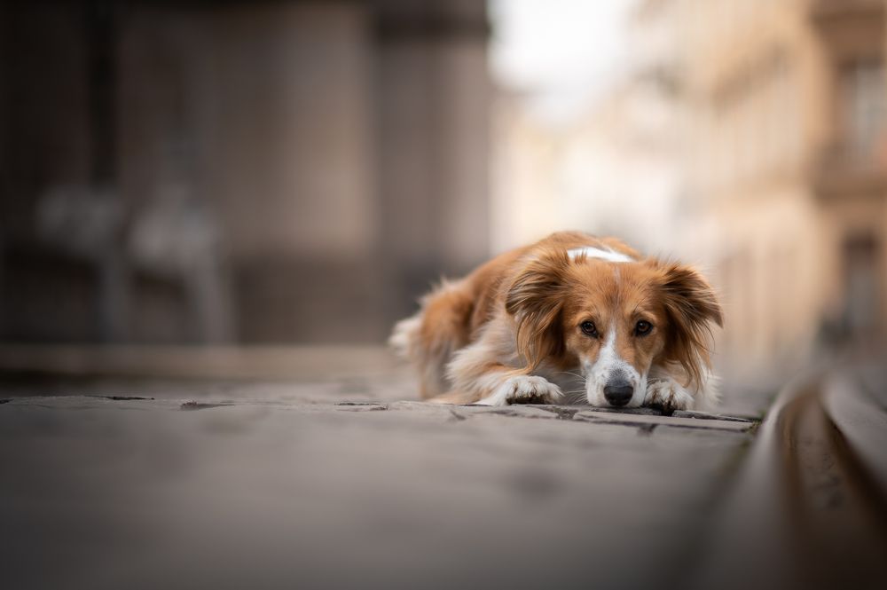 Photograph by Jakub Kudlovsky