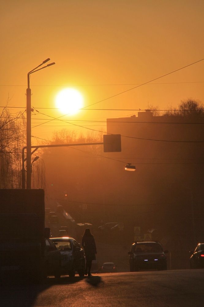 Photograph by Дарья Овчинникова