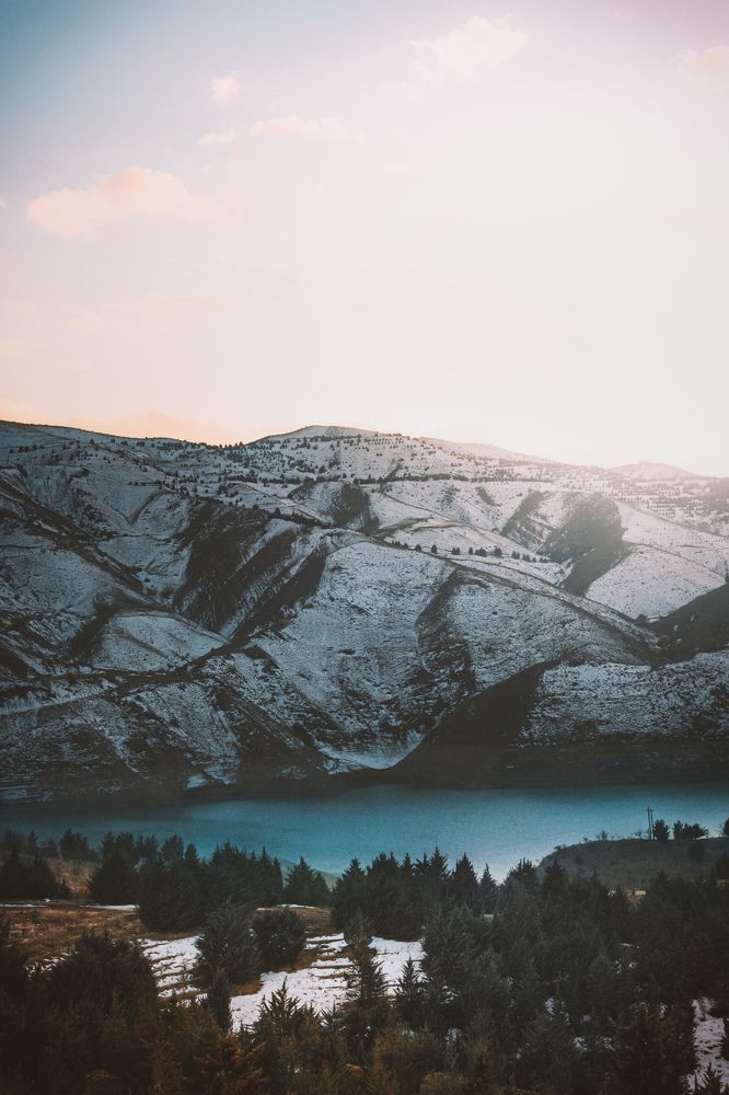 Photograph by Mitra Mehrabanpour