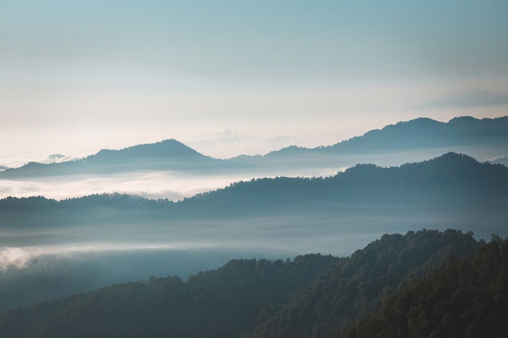 Photograph by Mitra Mehrabanpour