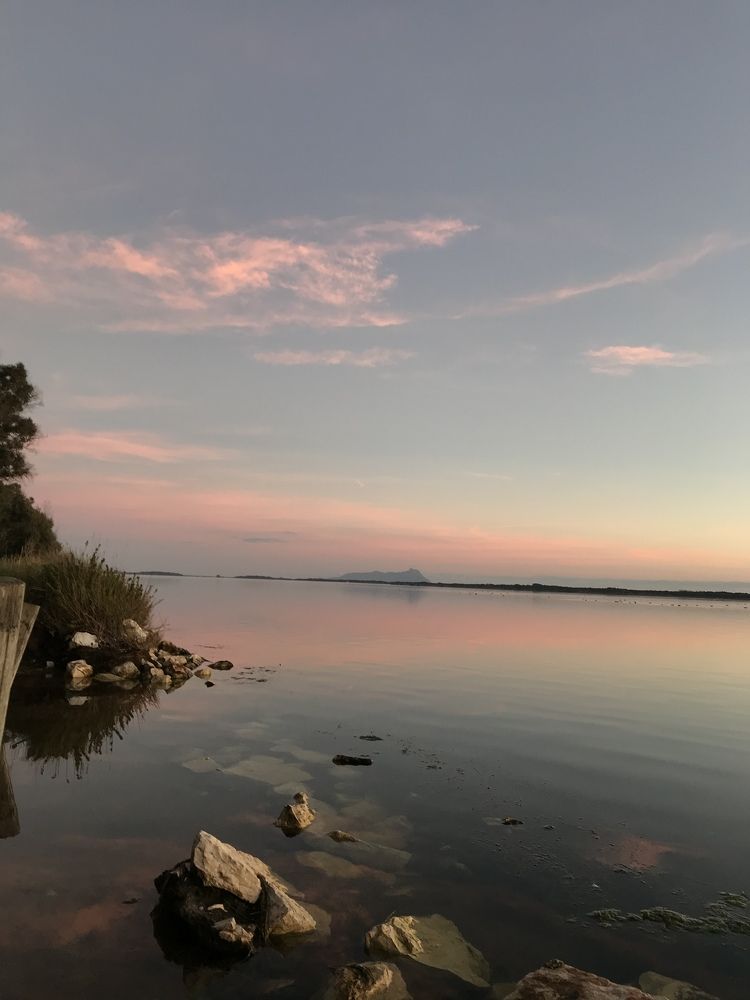 Photograph by Emanuel Mirt