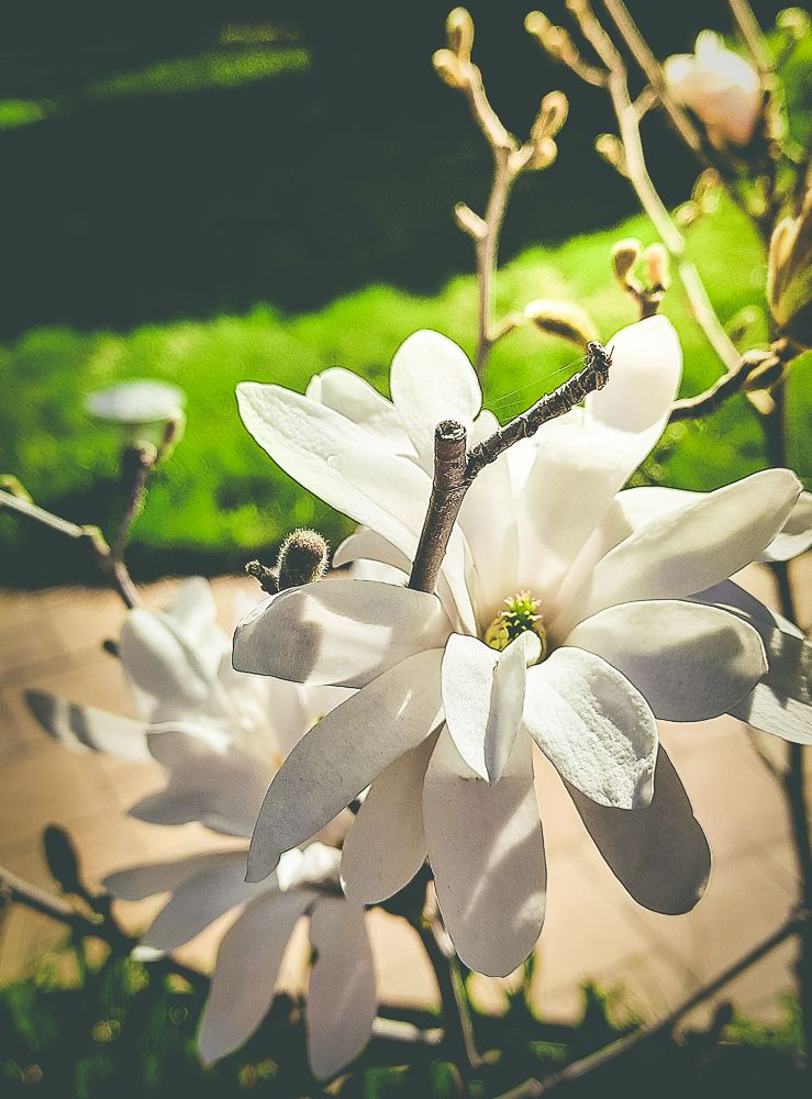 Photograph by Светлана Ветрова