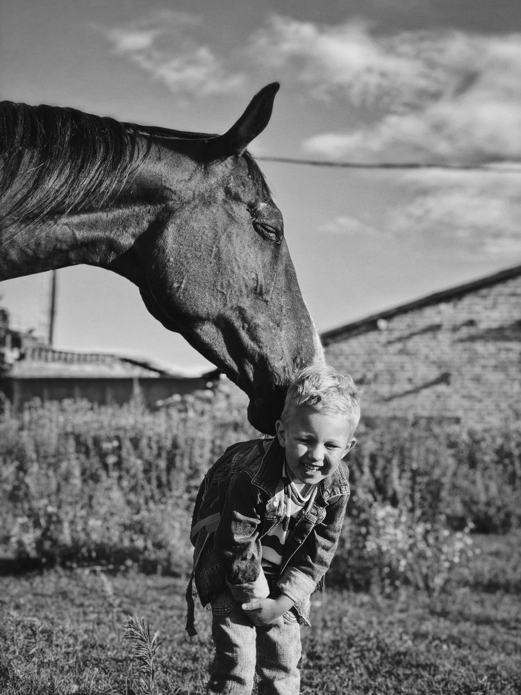Photo #6042568