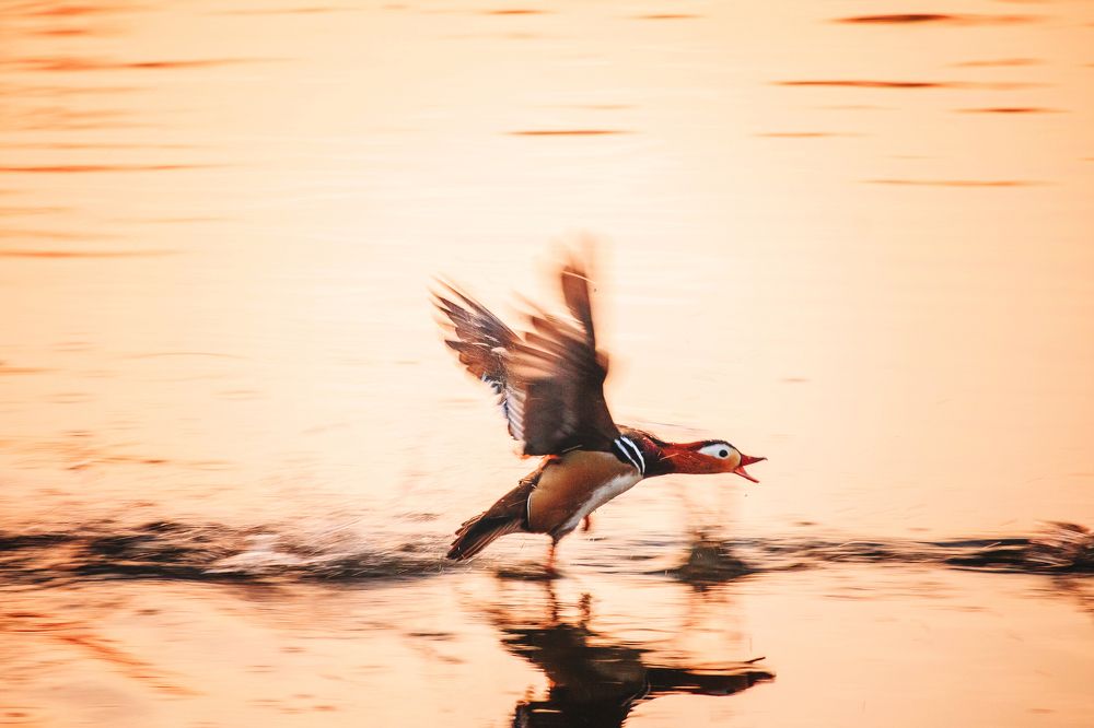 Photograph by Сигида Дмитрий