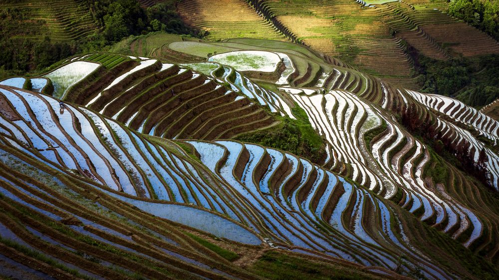 Photograph by Токарев Олег