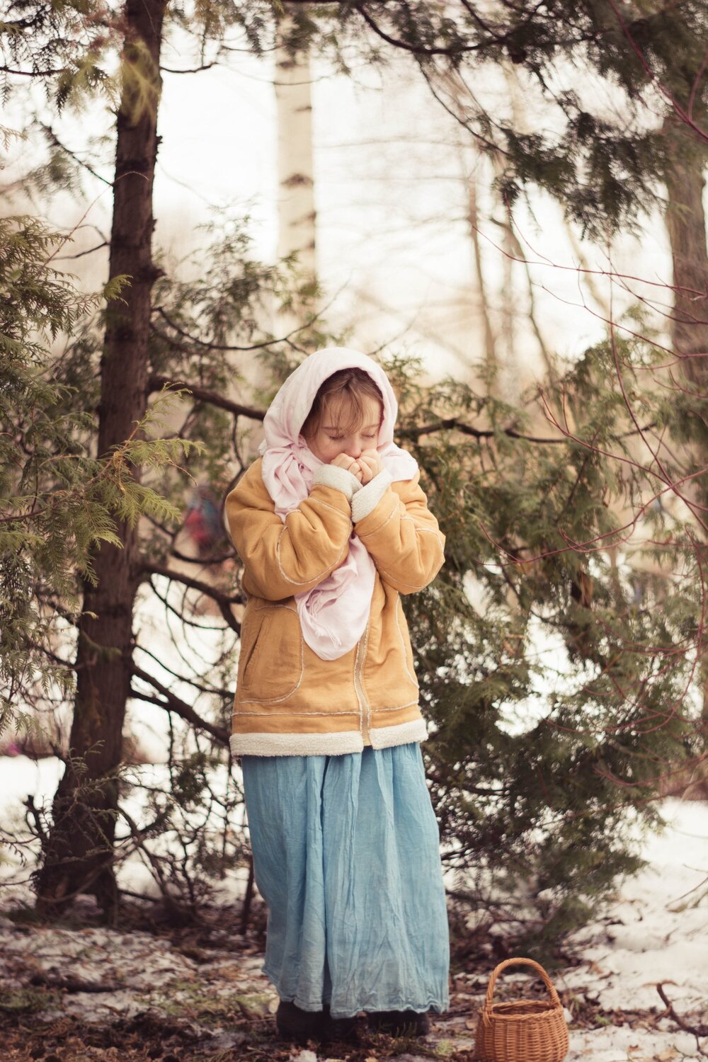 Photo #6042839