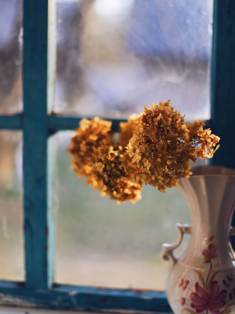 Photograph by Анастасия Русских