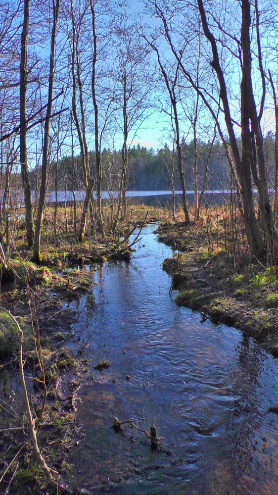 Весеннее половодье