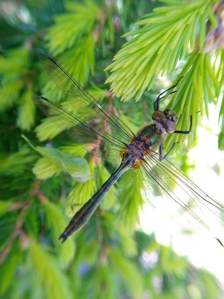 Photograph by Юлия Гаврильчик