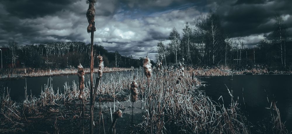 Photograph by Вячеслав Николаев