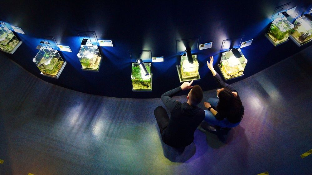 Фотография автора Юрий Цыркунов