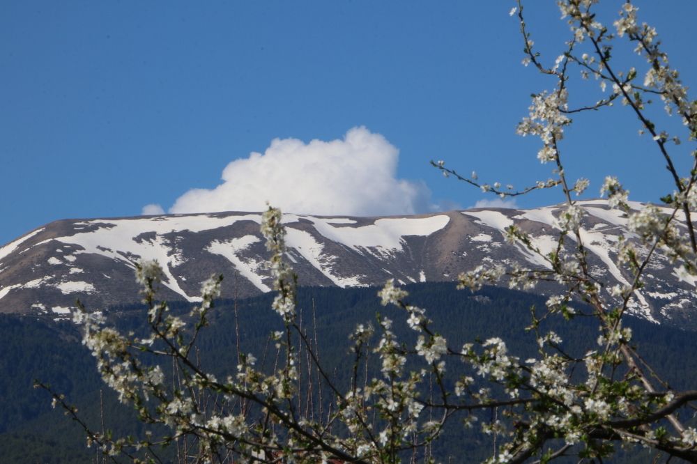 Photograph by Cengiz Yalcin