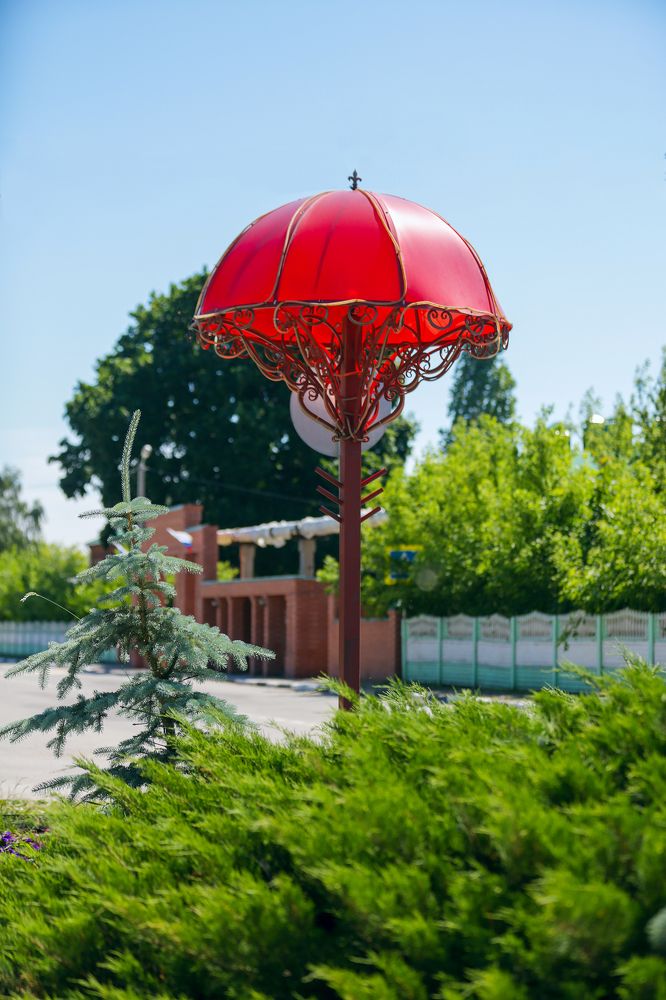 Photograph by Александр Ляхнович