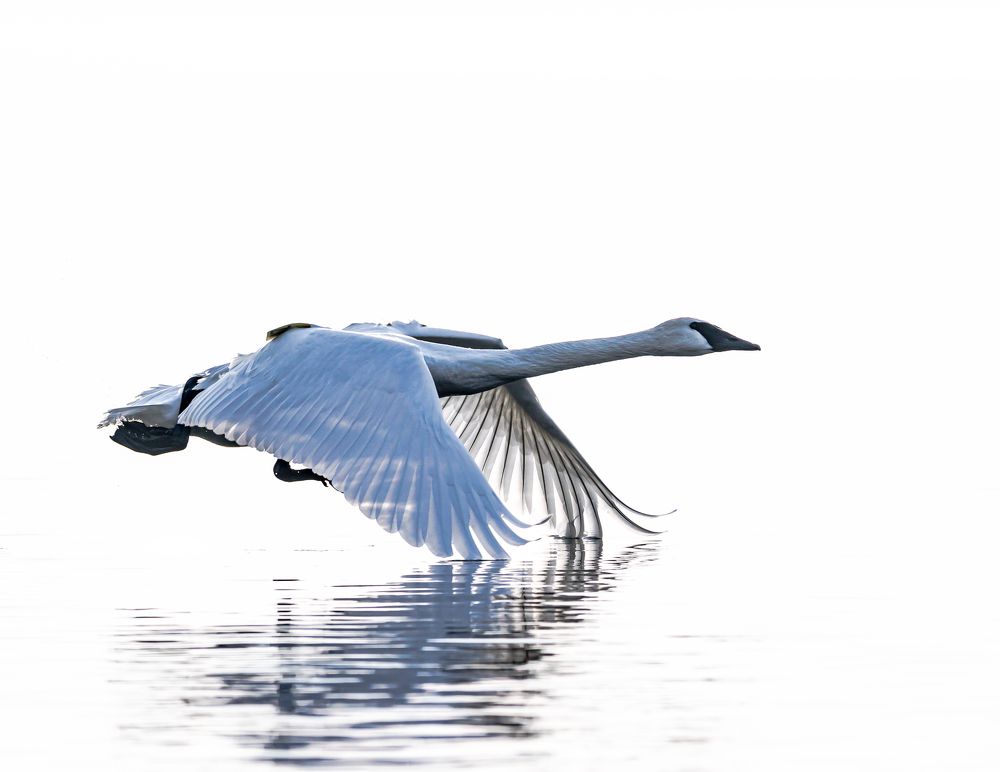 Photograph by JAMES BAILEY