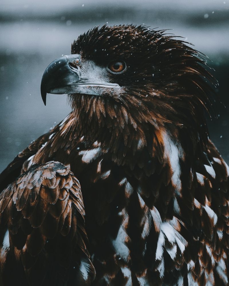 Photograph by Vladyslav Lihostai