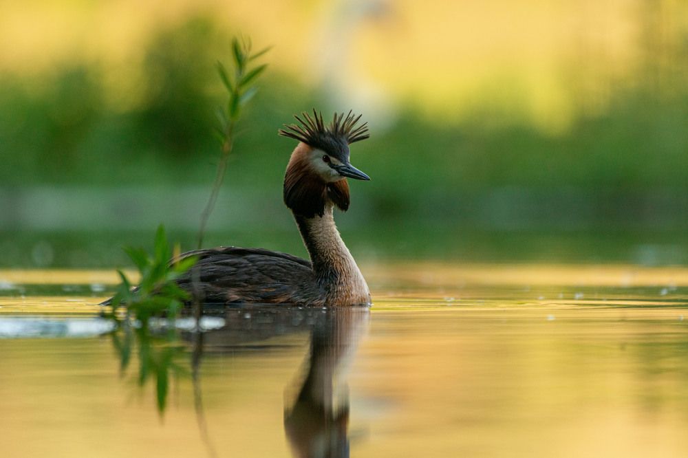 Photograph by Bine Mekina