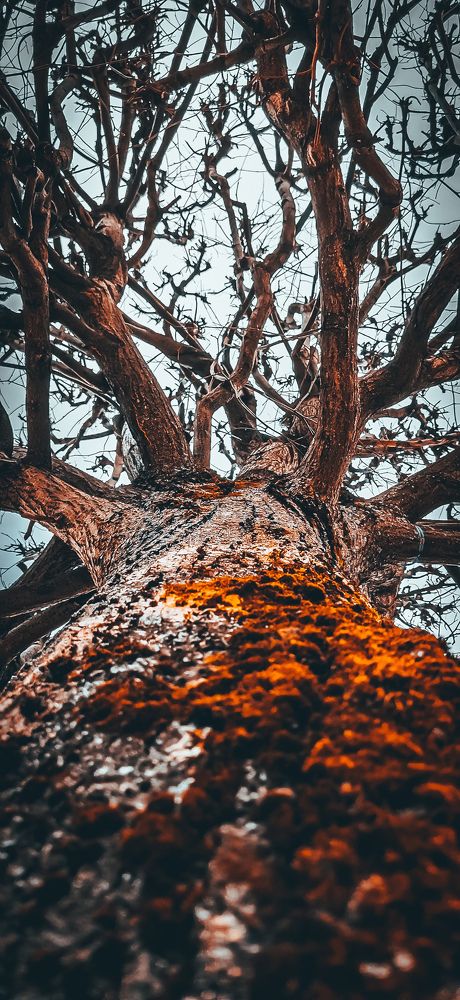 Photograph by Вячеслав Николаев