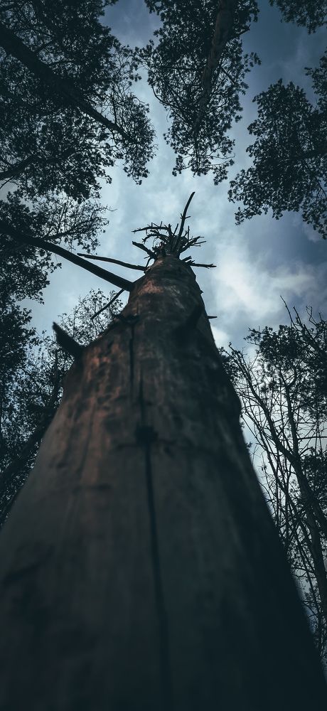 Photograph by Вячеслав Николаев