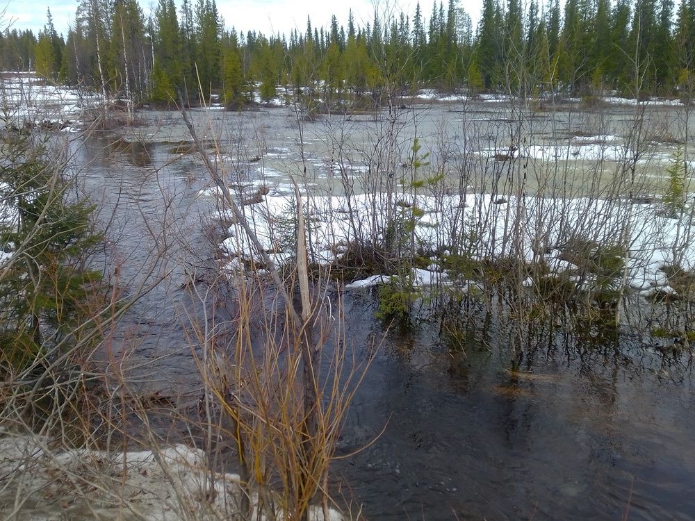 Photograph by Нина Гирнык