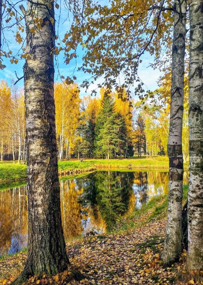 Photograph by Светлана Попова