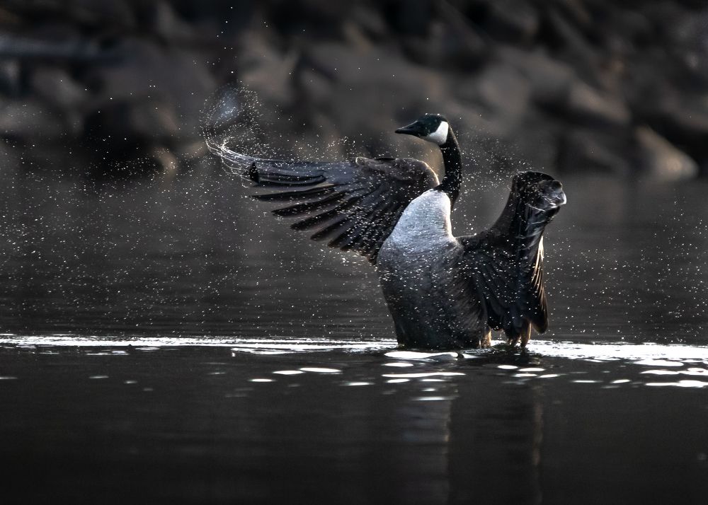 Photograph by JAMES BAILEY