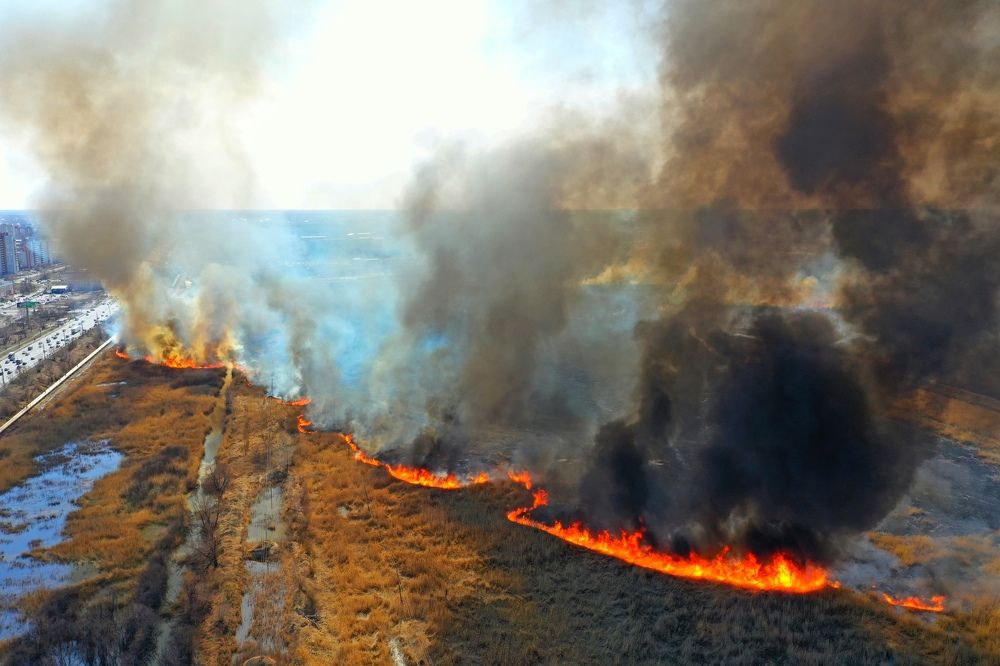 Photograph by Сергей Подгурский