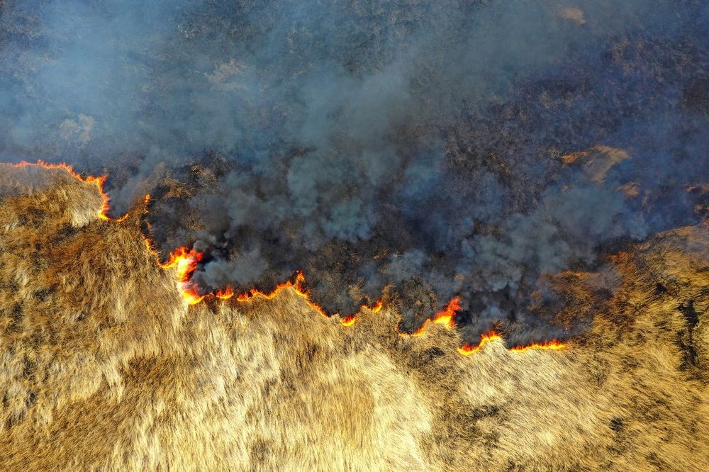 Photograph by Сергей Подгурский