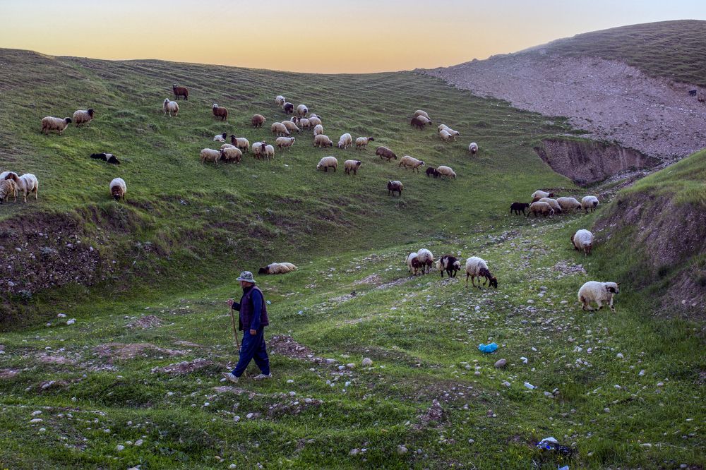 Photograph by Sabah Aljammasi