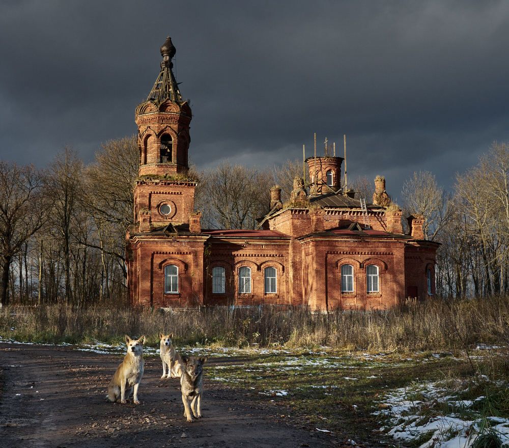 Photograph by Александр Авдушев