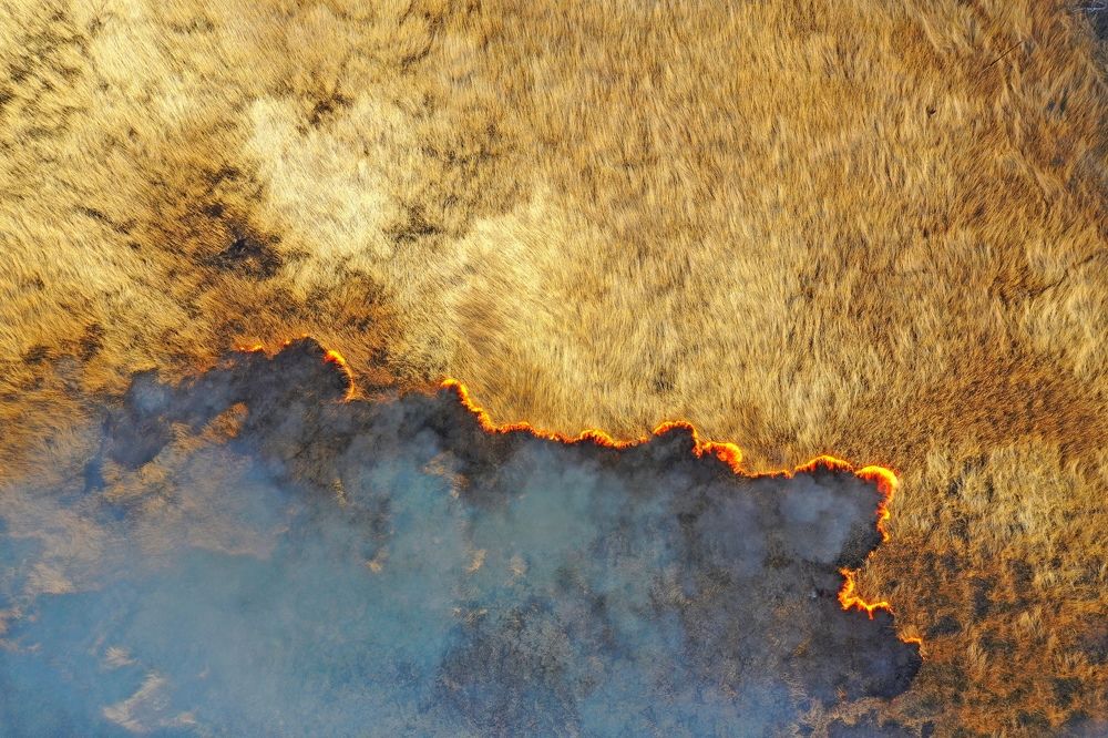 Photograph by Сергей Подгурский