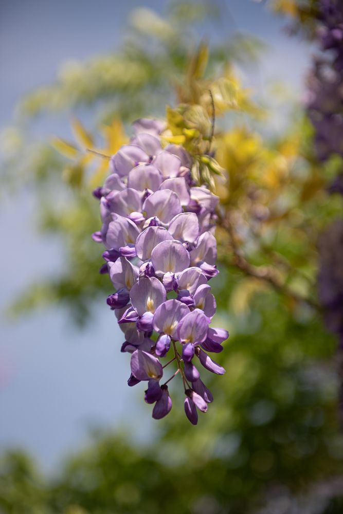 Photograph by Helen Vasilieva