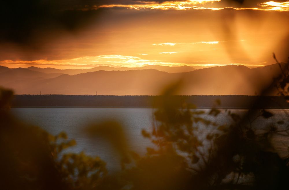 Photograph by ЕЛЕНА