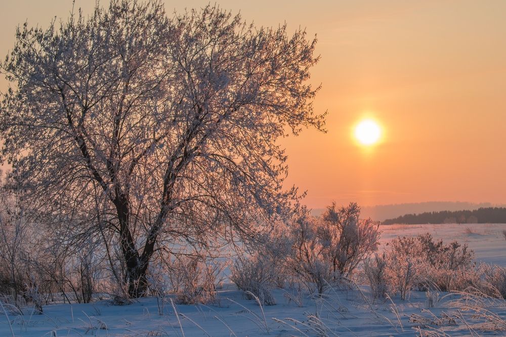 Photograph by Татьяна Суржанская