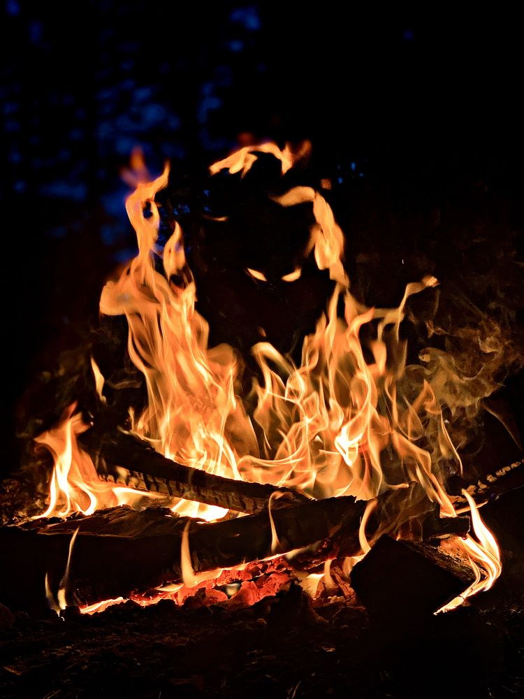 Photograph by Юлия Мартынова