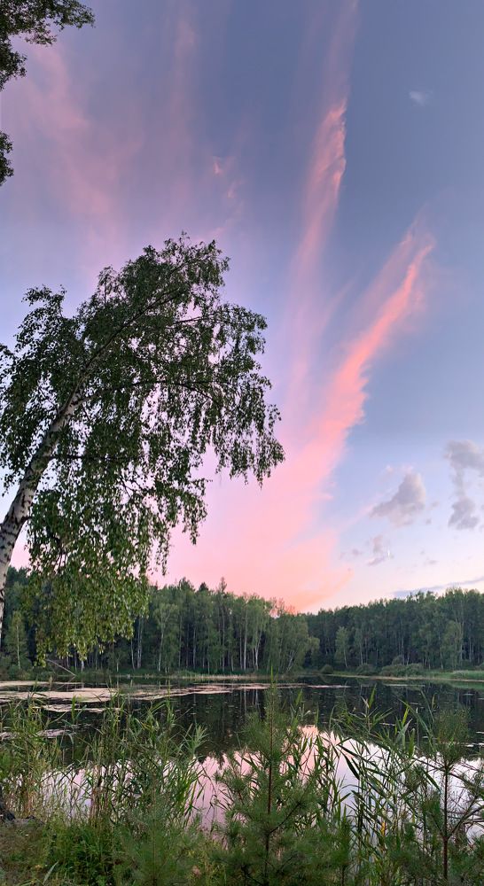 Photograph by Юлия Мартынова