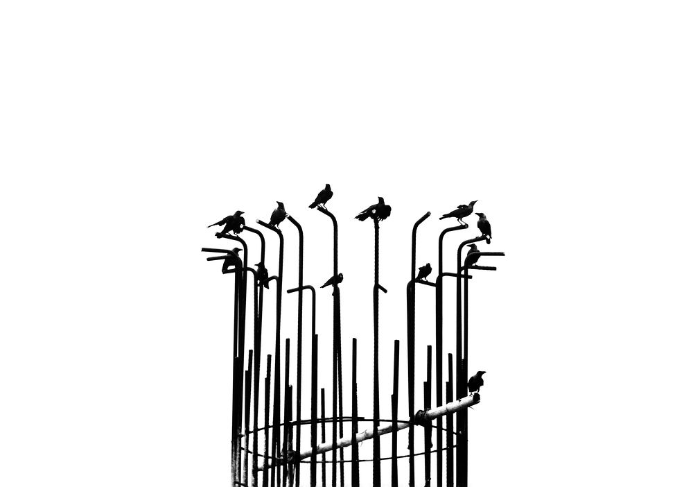 Photograph by Rahul Das